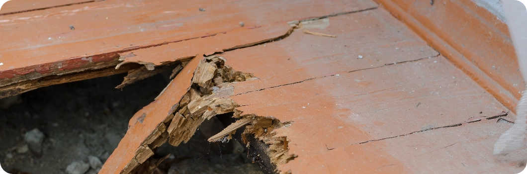 Subfloor Repair | Floor Concepts